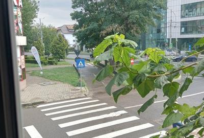 Garsonieră decomandată în Ultracentral - 3