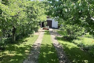Casă cu Teren 600 Mp în Valea Lupului - 6