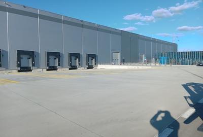 Spatii logistice Bacau - 11