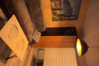 Apartament cu 2 camere decomandat în Ultracentral - 4