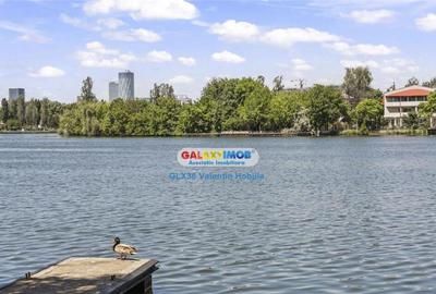 Vila Lacul TEI PETRICANI INSULA LAC 1900 MP TEREN - 8