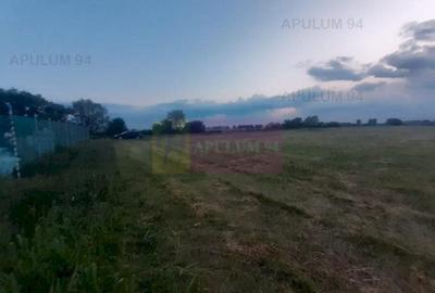 Teren aproape de Bucuresti langa padure între case - 15