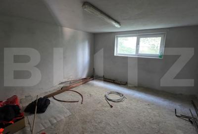 Casa de vanzare, cu 4 dormotoare si 10 ari teren, zona Unirea - 14