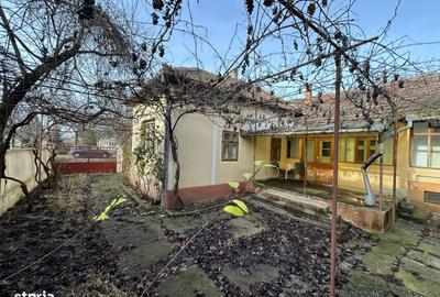 Casă cu 4 camere cu Teren 1484 Mp în Vladimirescu - 3