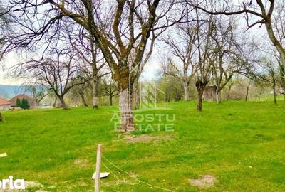 Casă cu 4 camere cu Teren 1079 Mp în Vârfurile - 5