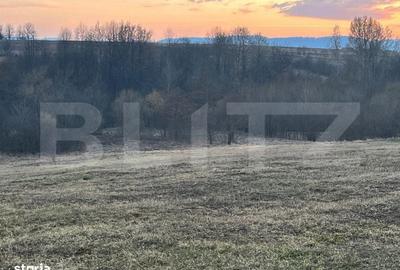 Spațiu comercial, în Marginea - 6