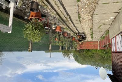 Case Mare de Vanzare cu 3 Camere - 2