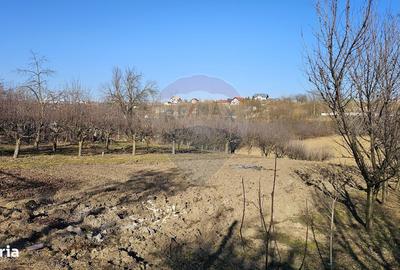 Casă cu 3 camere în Central