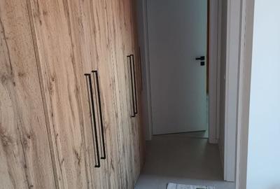 Apartament cu 3 camere în Hașdeu - 8