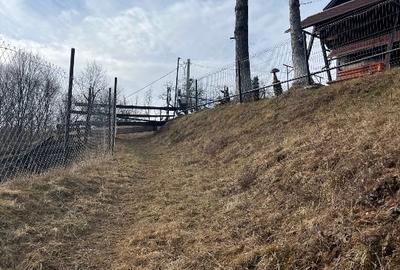 Teren Construcții intravilan de 2881 mp, în Șimon - 16