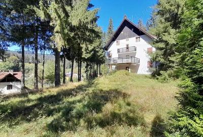 De vanzare in Timis de Sus, pensiune montana in stilul arhitectural al cabanelor austriece - 7