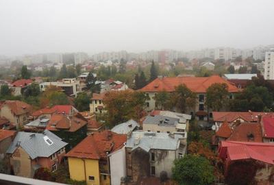REA1003639 Apartament  de inchiriat I Kiseleff - 17