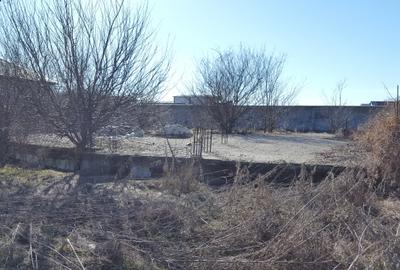 Clinceni str Ciocarliei,construibil,469mp,deschidere 21ml,utilitati,comision 0% - 4