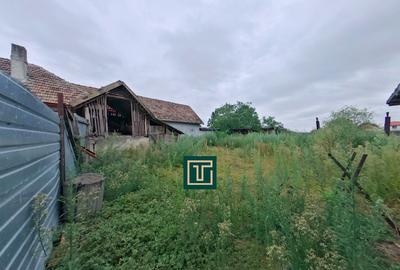 Casă tradițională cu teren generos în Secusigiu, județul Arad Casă tradițională cu teren generos în Secusigiu, județul Arad - 13