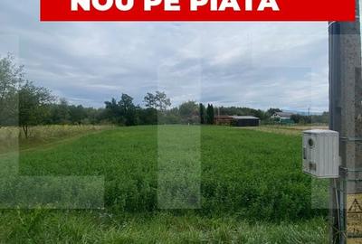 De vanzare teren intravilan 1.080 mp cu utilitati - Dobolii de Jos