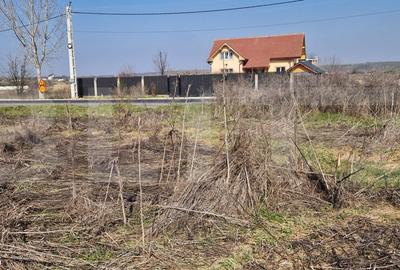 Teren de 15256 mp, în Jibert - 5