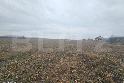 Teren de 9000 mp, în Central - 1