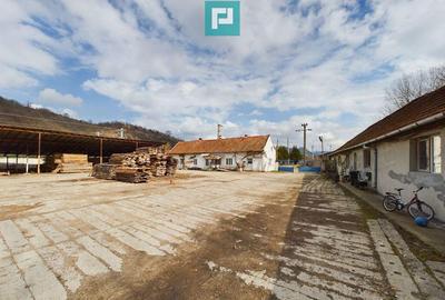 Fabrica de prelucrare a lemnului ?i palului - 9