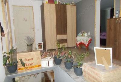 Vila, Becicherecul MIC, P+M, 4 camere, teren 500mp, la cheie - 2