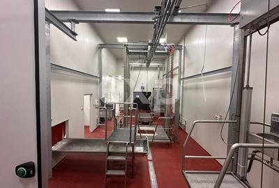 Teren Construcții intravilan de 105000 mp, în Crânguri - 16