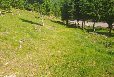 Teren de 1000 mp, în Măguri - 2