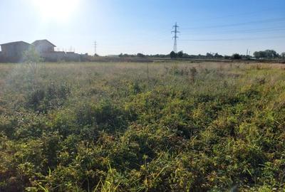 Comuna berceni ,str Miorita Comuna berceni ,str Miorita - 4