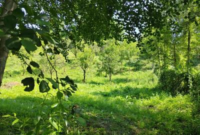 Teren de 1035 mp, în Central - 2