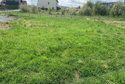 Spațiu comercial, în Petru Rareș - 1