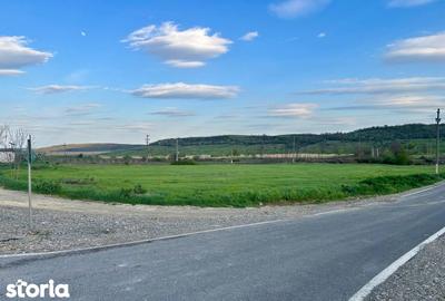 Teren de 10900 mp, în Bălțați - 6