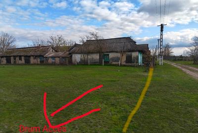 Teren Construcții intravilan în Letea - 5
