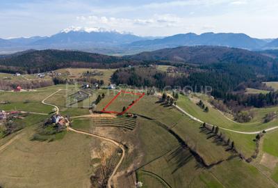 Teren Construcții intravilan de 3791 mp, în Poiana Mărului - 8