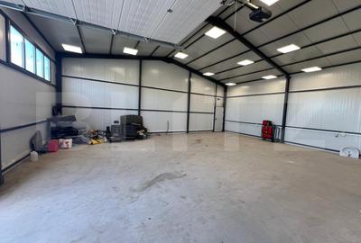 Hala 290,6 mp si 1263 mp teren, zona Carcea - 5