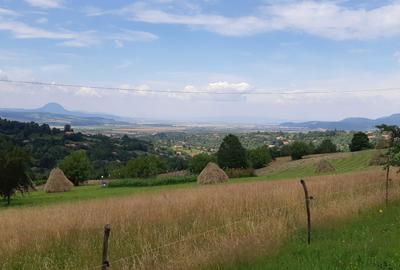 Spațiu comercial, în Bran - 3