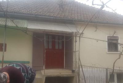 Casă cu 3 camere în Drighiu - 3