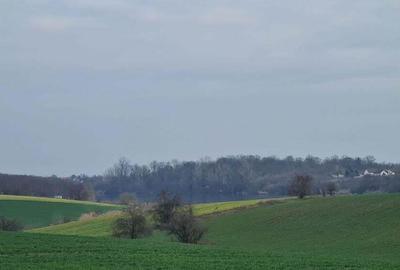 Teren de 1000 mp, în Căciulați - 2