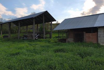 Casă cu 4 camere în Bâcu - 8