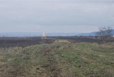 TEREN EXTRAVILIAN   20300 MP | FRONT 56MP | JUCU DE SUS - 2