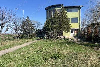 Vila Branesti Islaz foarte spatioasa stradala-ideal afacere - 6