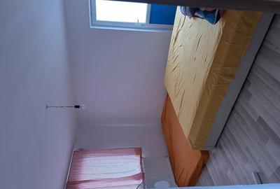 Casa spa?ioasa in Gura Vaii la doar 10 km de Dr. Tr. Severin - 10