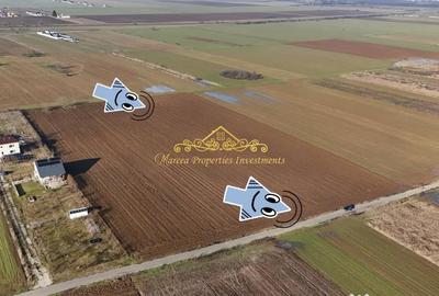 Teren de 10000 mp, în Ulmi - 1