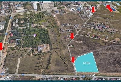 ORAS PANTELIMON-CERNICA 18.700 mp - intravilan - Proprietar - 5