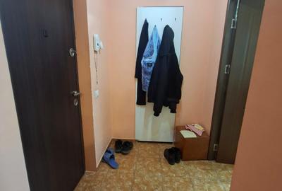 Apartament cu 2 camere semidecomandat în Teiul Doamnei - 13