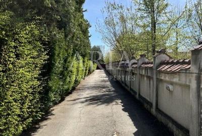 IANCU NICOLAE 1000MP Casă / Vilă cu 4 camere de vânzare IANCU NICOLAE 1000MP Casă / Vilă cu 4 camere de vânzare - 7