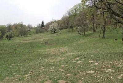 Teren în Buștenari - 3