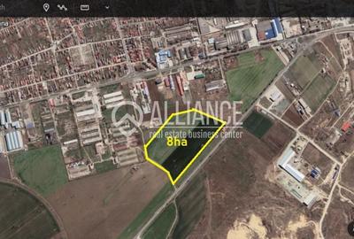 Teren agricol extravilan de 80000 mp, în Lumina
