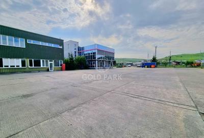 Spațiu industrial, de 1,931 mp, în Apahida - 19