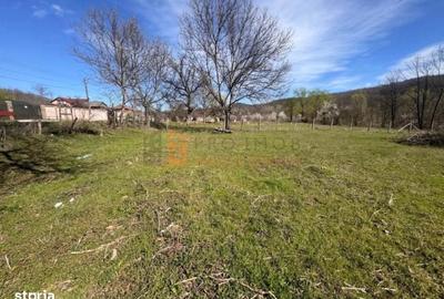 Spațiu comercial, în Tisău - 5