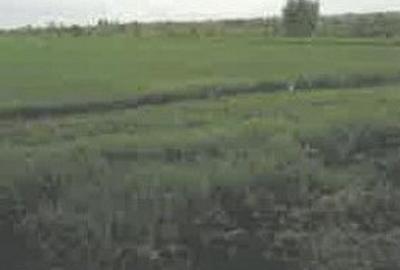 Teren de 1200 mp, în Pietroasele - 10