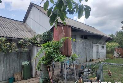 Casă cu 4 camere cu Teren 2190 Mp în Siret - 3