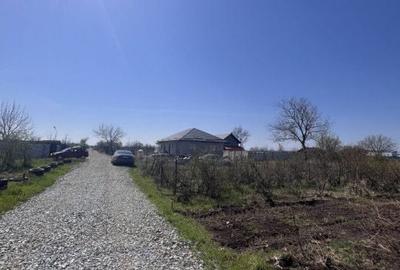 Spațiu comercial, în Islaz - 4